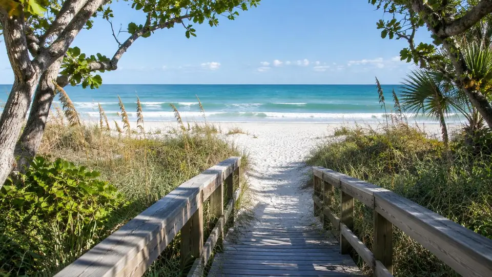 Wooden boardwalk through sea oats and coastal trees leading to an empty white sand beach